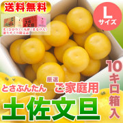ミカ　高知産 　ぽんかん 5Kg文旦10kg　 Lサイズ　家庭用 Amazon.co.jp: 土佐の旨味市場 文旦 土佐文旦 家庭用 5kg L～4L