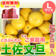 高知県産・土佐文旦・まるけん（丸研）ブランドの良品限定・厳選ご家庭用・中箱（～5kg）・Lサイズ【送料無料（関東～九州）】