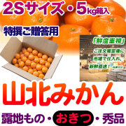 美味しいよ٩( 'ω' )و山北みかん 15キロ　09 山北みかん 早生5kgS～Mサイズ上級品