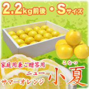 土佐小夏（とさこなつ）