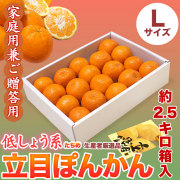 立目（たちめ）ぽんかん（低しょう系）ご家庭用兼ご贈答用・約2.5kg箱入り・Lサイズ【送料無料（関東～九州）】