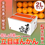 立目（たちめ）ぽんかん（低しょう系）ご家庭用兼ご贈答用・5kg箱・2Lサイズ【送料無料（関東～九州）】