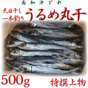版画　うるめいわし うるめいわし（小ウルメ）丸干500g