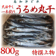 高知沖どれ「天日干し・一本釣りうるめ丸干し」・特撰上物・800g 【送料無料】