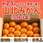 山北みかん・中生（なかて）・南柑20号・赤秀品・2.5kgみかん箱（小分け品）