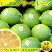 山北の温室グリーンレモン（ハウス栽培）・秀品（特選クラス）・Mサイズ・お求めやすい小分け品【送料無料】