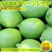 山北の温室グリーンレモン（ハウス栽培）・秀品（特選クラス）・約5kg箱・Lサイズ【送料無料】