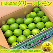 山北の温室グリーンレモン（ハウス栽培）・秀品（特選クラス）・約5kg箱・Mサイズ【送料無料】
