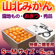 生産者厳選・山北みかん・露地もの・興津（おきつ）・秀品（特撰ご贈答用）・約5kg・S、Mサイズ・ギフト用化粧箱入