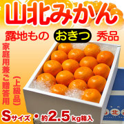生産者厳選・山北みかん・露地もの・興津（おきつ）・秀品（家庭用兼ご贈答用＝上級品）・約2.5kg箱・S～Mサイズ【送料無料（関東～九州）】