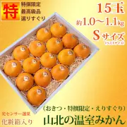 山北温室みかん 特選限定えりすぐり 1.0kg