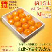 ●mokomama●山北温室みかん 興津早生 3Sサイズ 1㎏ 高知県産 山北の温室みかん 特撰2.5 高知みかん販売さとのわ