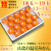 山北の温室みかん（おきつ系・特撰秀品限定・えりすぐり・ご贈答用）約1.3～1.4kg（18から19玉）化粧箱入り・厳選粒ぞろい・Sサイズ【送料無料】