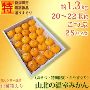 山北の温室みかん（おきつ系・特撰限定えりすぐり・贈答ハウスみかん）約1.3kg入・ハイクラス・小粒2Sサイズ