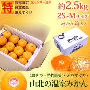 山北温室みかん（おきつ系・特撰限定えりすぐり・ご贈答ハウスみかん）約2.5kg・ハイクラス・2S～Mサイズ・みかん箱入り