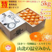 山北温室みかん（ハウス蜜柑・おきつ系・特撰限定・えりすぐり）最高級ギフト用・約5kg・化粧箱入・S～Mサイズ【送料無料（関東～九州）】