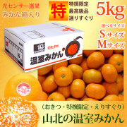 山北の温室みかん（おきつ系・特撰限定・えりすぐり・ご贈答用）5kgみかん箱入り・ハイクラス・S、Mサイズ【送料無料（関東～九州）】