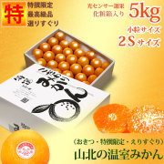 山北の温室みかん（ハウス蜜柑・おきつ系・特撰限定・えりすぐり）最高級ギフト用・約5kg・化粧箱入・小粒２Ｓサイズ【送料無料（関東～九州）】