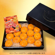 山北みかん・興津（おきつ）通販 産直みかん