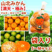 山北みかん・満天・極み・袋入り