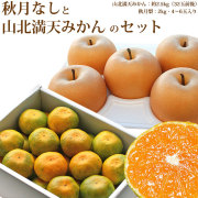 【送料無料・期間限定】秋月梨（あきづきなし）と山北満天みかん（露地）のセット・A