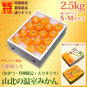 山北の温室みかん（おきつ系・特撰限定・えりすぐり・ご贈答用）2.5kg化粧箱入り・ハイクラス・S、Mサイズ【送料無料（関東～九州）】