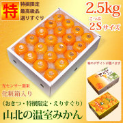 山北の温室みかん（おきつ系・特撰限定・えりすぐり・ご贈答用）2.5kg化粧箱入り・ハイクラス・小粒２Ｓサイズ【送料無料（関東～九州）】