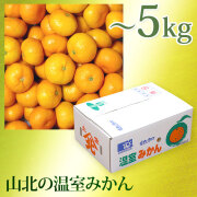 山北の温室みかん（極早生～早生・赤秀品以上・えりすぐり）・～5kg（大箱）・みかん箱入り・Ｓサイズ【送料無料（関東～九州）】