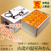 山北温室みかん（おきつ系品種・赤秀品・ご贈答ハウスみかん）ギフト用・約5kg・化粧箱入