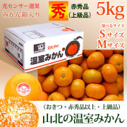 山北の温室みかん・おきつ系・赤秀品（ご贈答用品質えりすぐり）・～5kg（大箱）みかん箱入・S、Mサイズ【送料無料（関東～九州）】