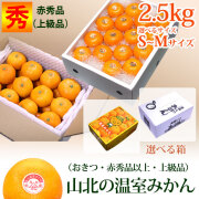 山北の温室みかん（ハウス栽培）・おきつ系・赤秀品えりすぐり（ご贈答用品質）・約2.5kg箱（S～Mサイズ）【送料無料（関東～九州）】
