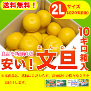 安い！文旦（ぶんたん）・高知県産（土佐市・宿毛市他）お徳用・大箱（～10kg）・2Lサイズ【送料無料（関東～九州）】
