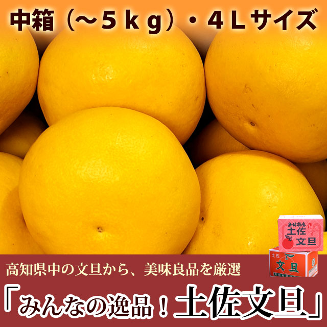 みんなの逸品！土佐文旦（とさぶんたん）・中箱（～5kg）・4Lサイズ・高知県内から味良し厳選品をお届け