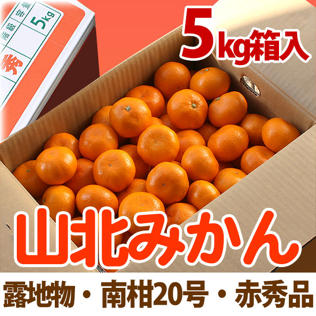 山北みかん・中生（なかて）・南柑20号・赤秀品・5kg箱入り