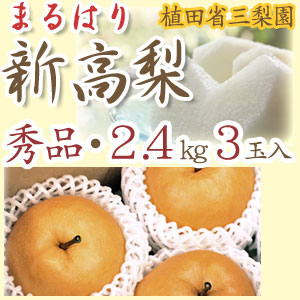 【送料無料】新高梨（にいたかなし）・高知県針木産・植田省三梨園・秀品・ご贈答用・2.4kg（約800g×3玉入）【産地直送】