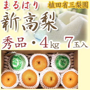 【産地直送】針木産の新高梨（にいたかなし）・高知市針木梨組合（まるはり）・秀品（ご贈答用）・約4kg・7玉入【送料無料】