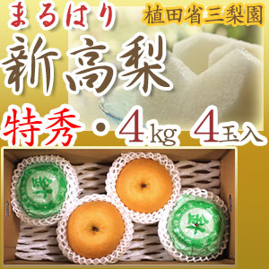 【産地直送】針木産の新高梨（にいたかなし）・高知市針木梨組合（まるはり）・特秀品（特撰ご贈答用）・約4kg・4玉入