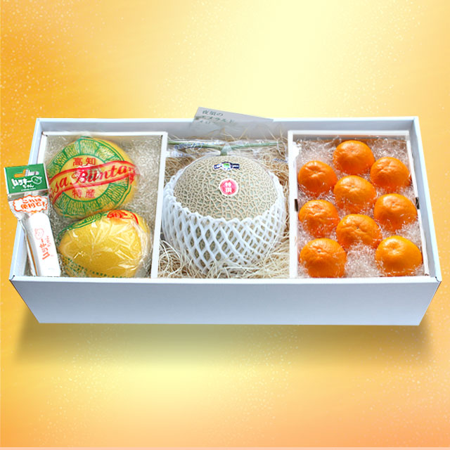 高知・夜須エメラルドメロン1玉・完熟山北みかん・温室土佐文旦の特撰セット