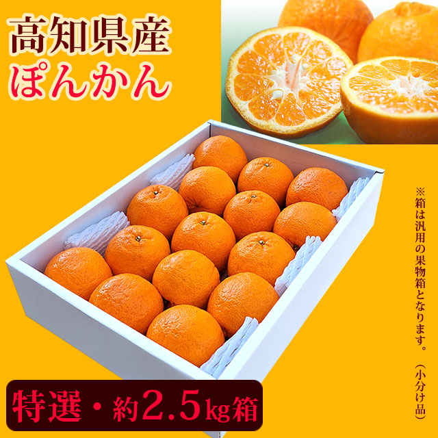 【店長おすすめ】ぽんかん（味よし厳選品）特選・約2.5kg箱（小分け品）【送料無料（関東～九州）】
