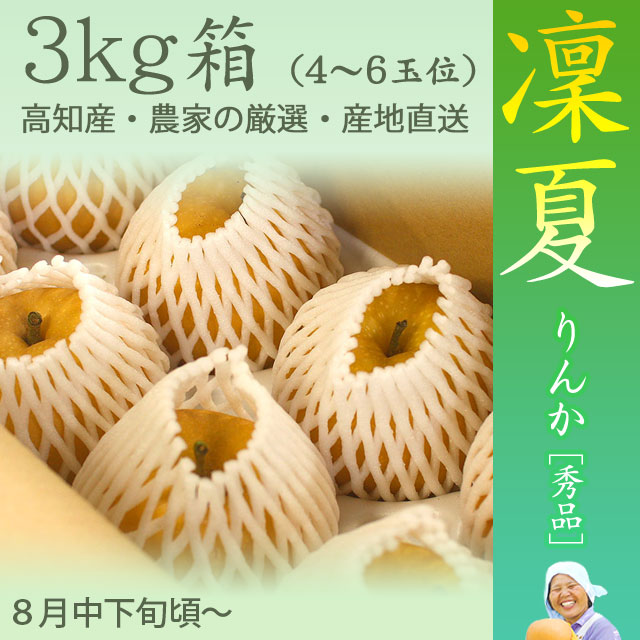 【もぎたてクール便】凜夏(りんか)梨（なし）・秀品・3kg・4玉～8玉前後入・厳選農家の産地直送