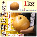 土佐馬次郎（うまじろう）梨・植田省三梨園・1kg（大玉1kg×1玉入）【産地直送】