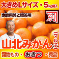 【産地直送】別役さんちの山北マルチ栽培みかん・露地もの・興津（おきつ）・秀品（家庭用兼ご贈答用）・5kg・大きめLサイズ【送料無料（関東～九州）】