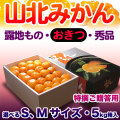 山北みかん・興津（おきつ）・特選（ご贈答用）・約5kg・S～Mサイズ・化粧箱入【送料無料（関東～九州）】