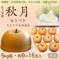 【木なり完熟・もぎたて】秋月（あきづき）・秀品・5kg・約9～15玉入り