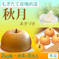 秋月（あきづき）梨（なし）・秀品・2kg・約4～6玉入り・厳選農家のもぎたて・産地直送