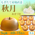 秋月（あきづき）梨（なし）・秀品・5kg・約9～15玉入り・厳選農家のもぎたて・産地直送