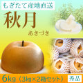 秋月（あきづき）梨（なし）・秀品・6kg(3kg×2箱セット)・厳選農家のもぎたて・産地直送
