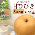 甘ひびき・秀品・5kg・7玉～11玉前後入・厳選農家のあまひびき・梨（なし）産地直送