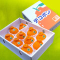 でこぽん・約3㎏箱入り