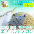 高知・夜須のエメラルドメロン（秀品）・最高級特撰ご贈答用・１玉入（手提げ箱仕様）
